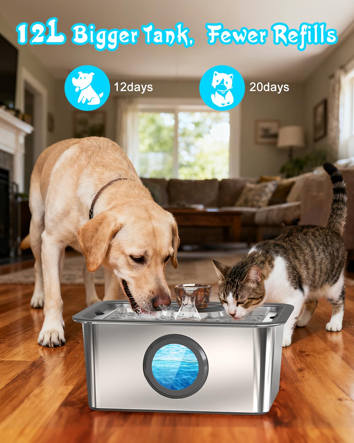 Pet Supplies : 3-Gallon Large Dog Water Fountain with Filter